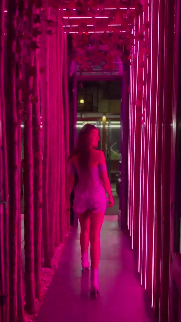 Anto en un rooftop bar de noche